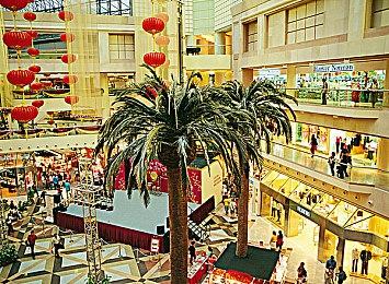 《王冠之战：黑王子》全新预告 3月8日发售